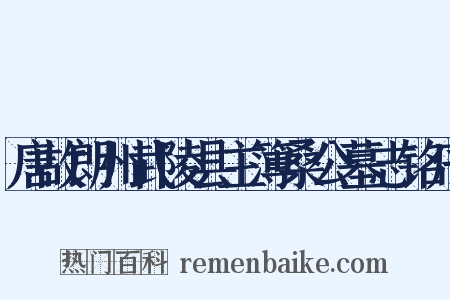 唐故朗州武陵县主簿桑公墓志铭序是什么意思的图片